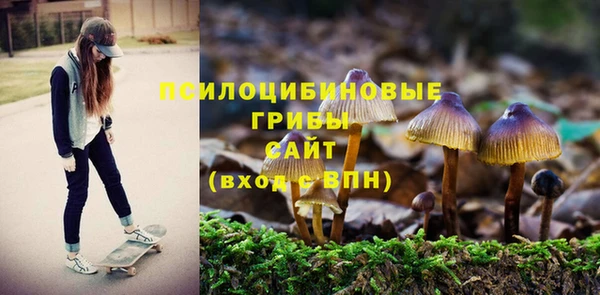 каннабис Алексин