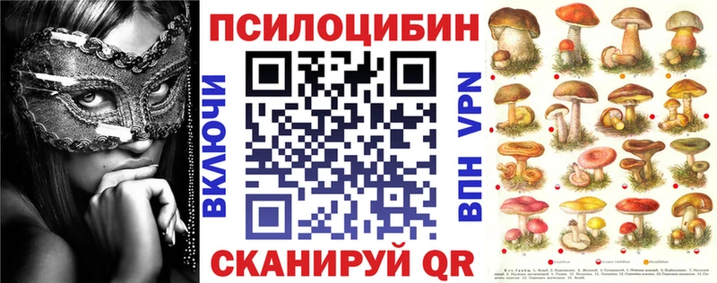 нарко площадка формула  Болгар  Псилоцибиновые грибы прущие грибы 